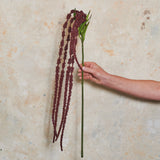 Amaranthus Real Touch Flower Stem