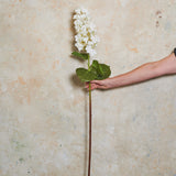 Hydrangea Cone Real Touch Flower Stem