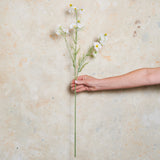 Cosmo Spray Real Touch Flower Stem