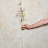 Cosmo Spray Real Touch Flower Stem