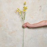 Cosmo Spray Real Touch Flower Stem
