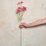 Cosmo Spray Real Touch Flower Stem