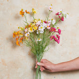 Cosmo Spray Real Touch Flower Stem