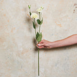 Lisianthus Real Touch Flower Stem