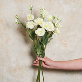 Lisianthus Real Touch Flower Stem