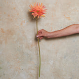 Gerbera Real Touch Flower Stem