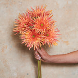 Gerbera Real Touch Flower Stem