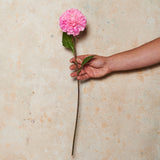 Pompon Dahlia Real Touch Flower Stem