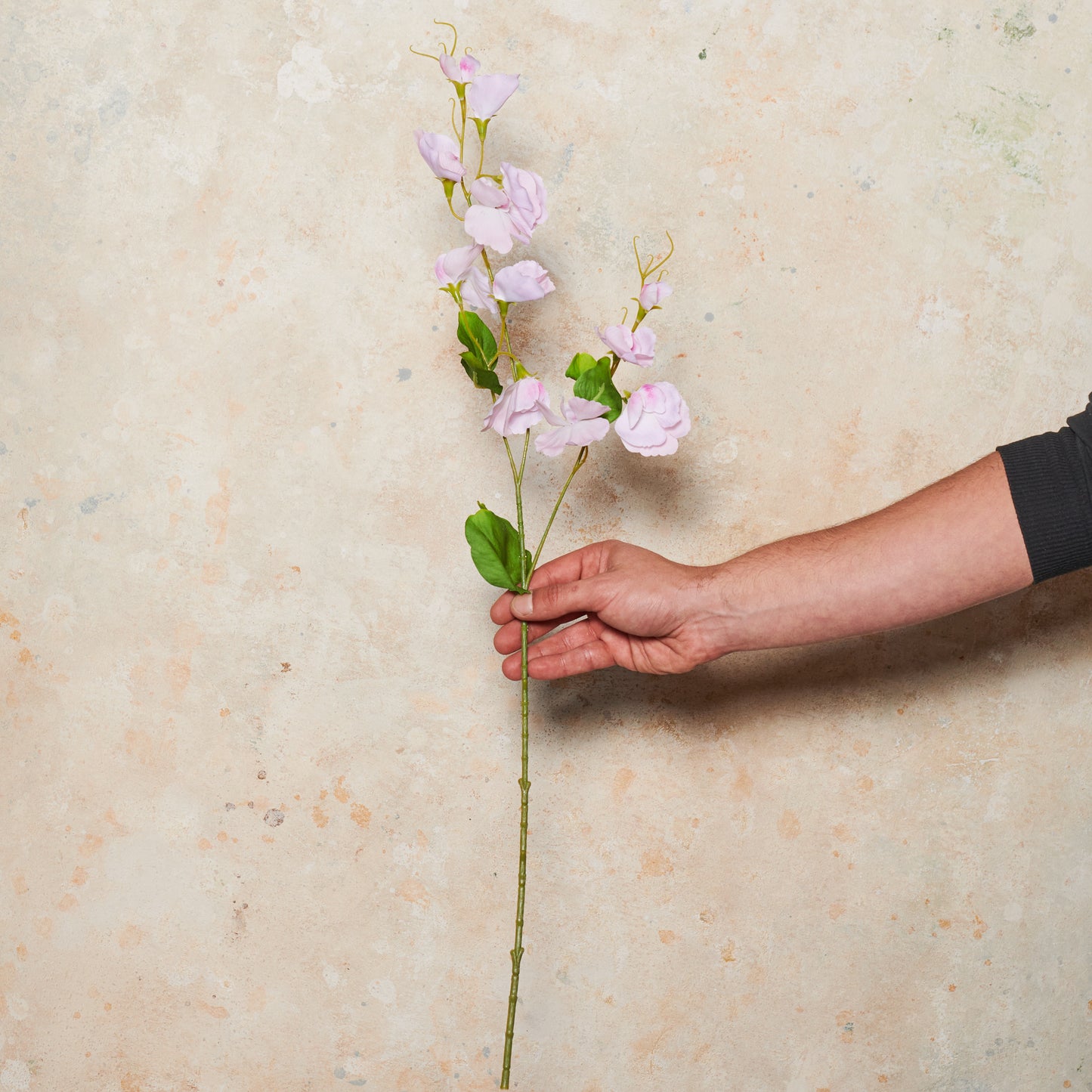 Sweet Pea Spray Real Touch Flower Stem