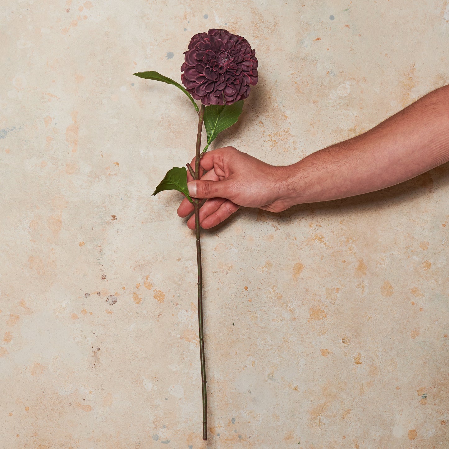 Pompon Dahlia Real Touch Flower Stem
