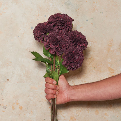 Pompon Dahlia Real Touch Flower Stem