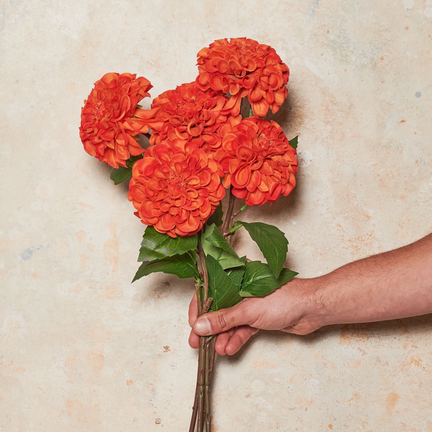 Pompon Dahlia Real Touch Flower Stem