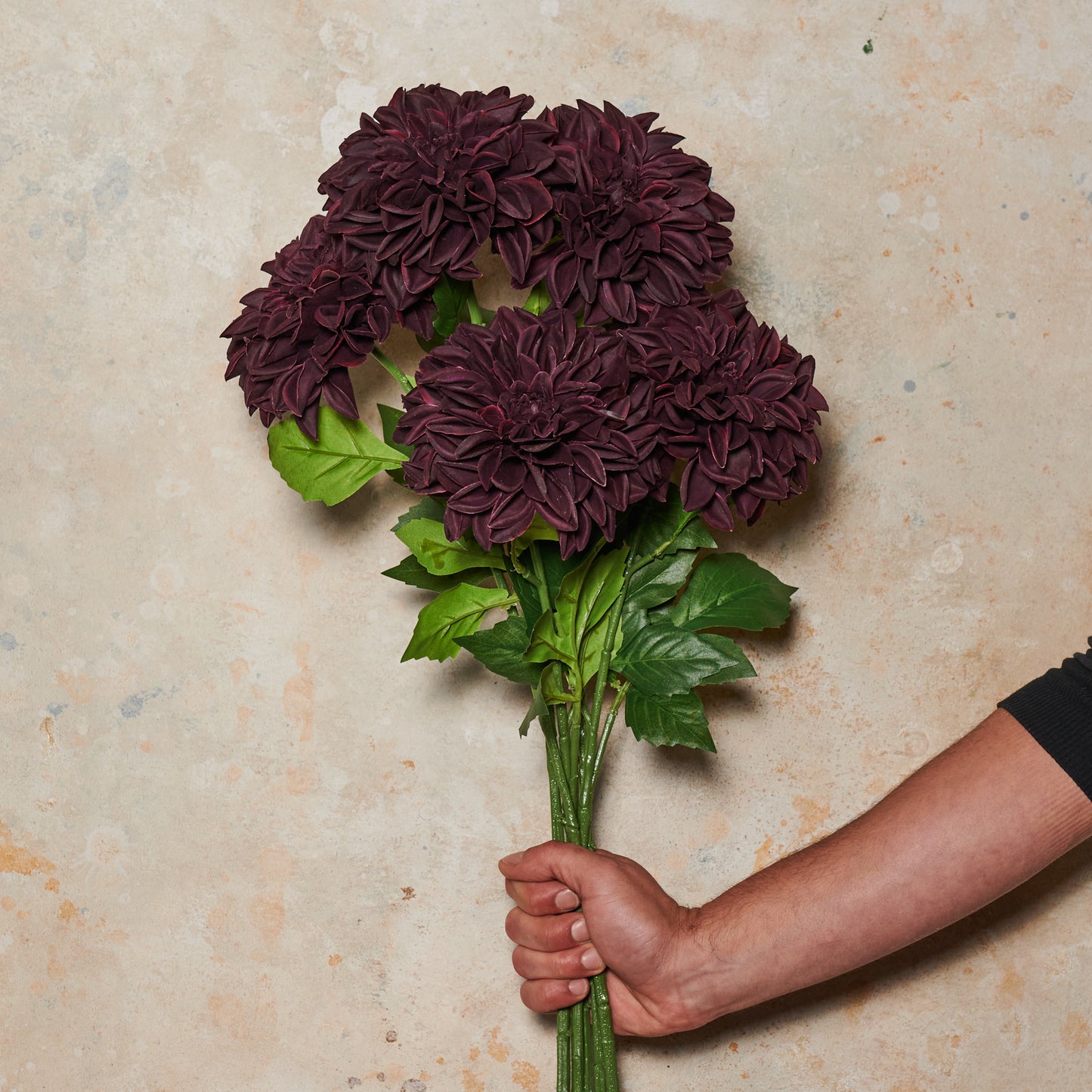 Pompon Dahlia Large Real Touch Flower Stem