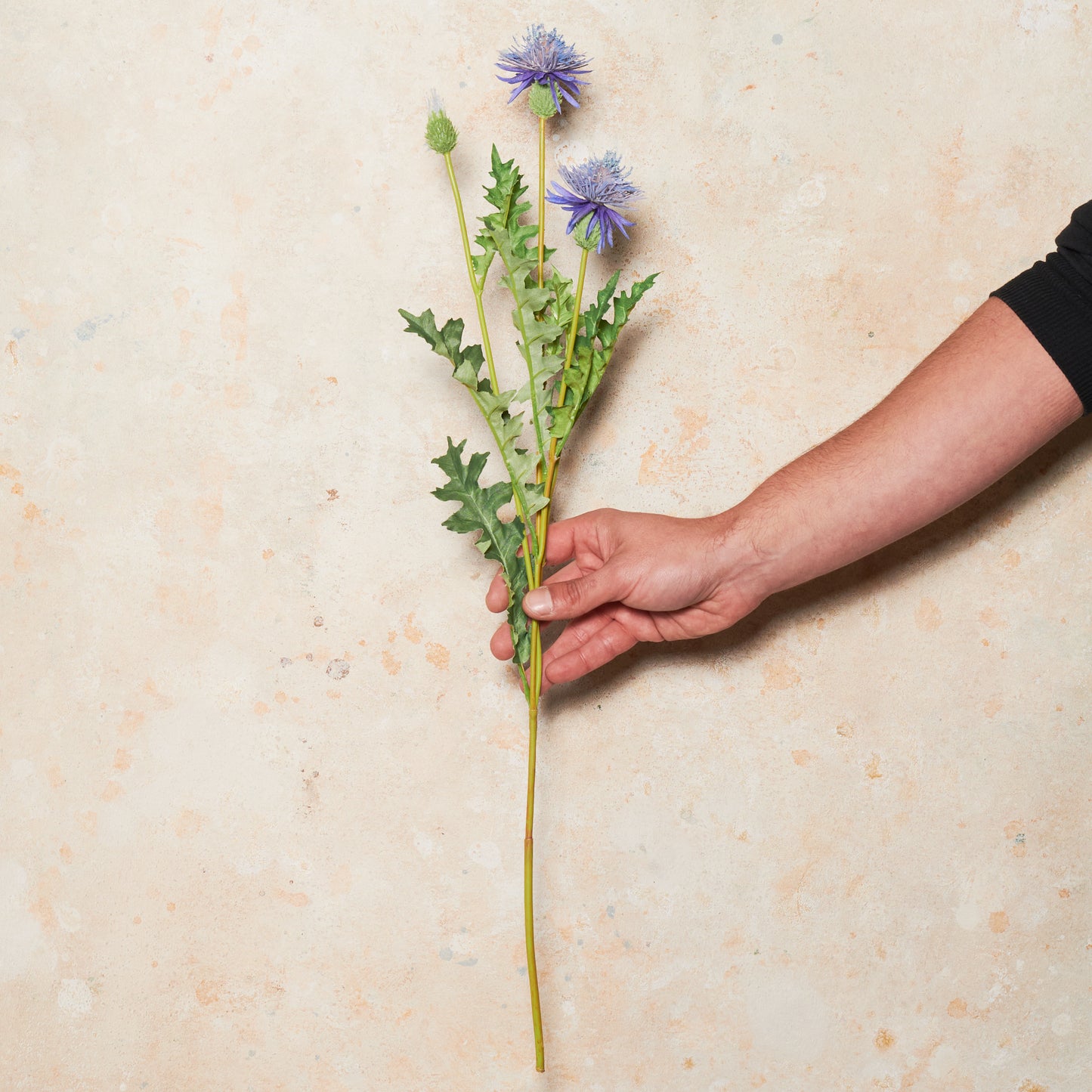 Thistle Real Touch Flower Stem