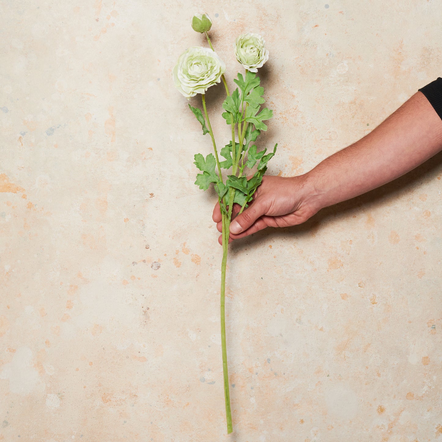 Ranunculus Flower Real Touch Flower Stem