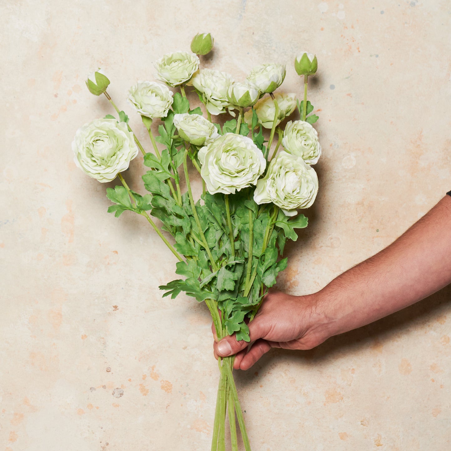 Ranunculus Flower Real Touch Flower Stem
