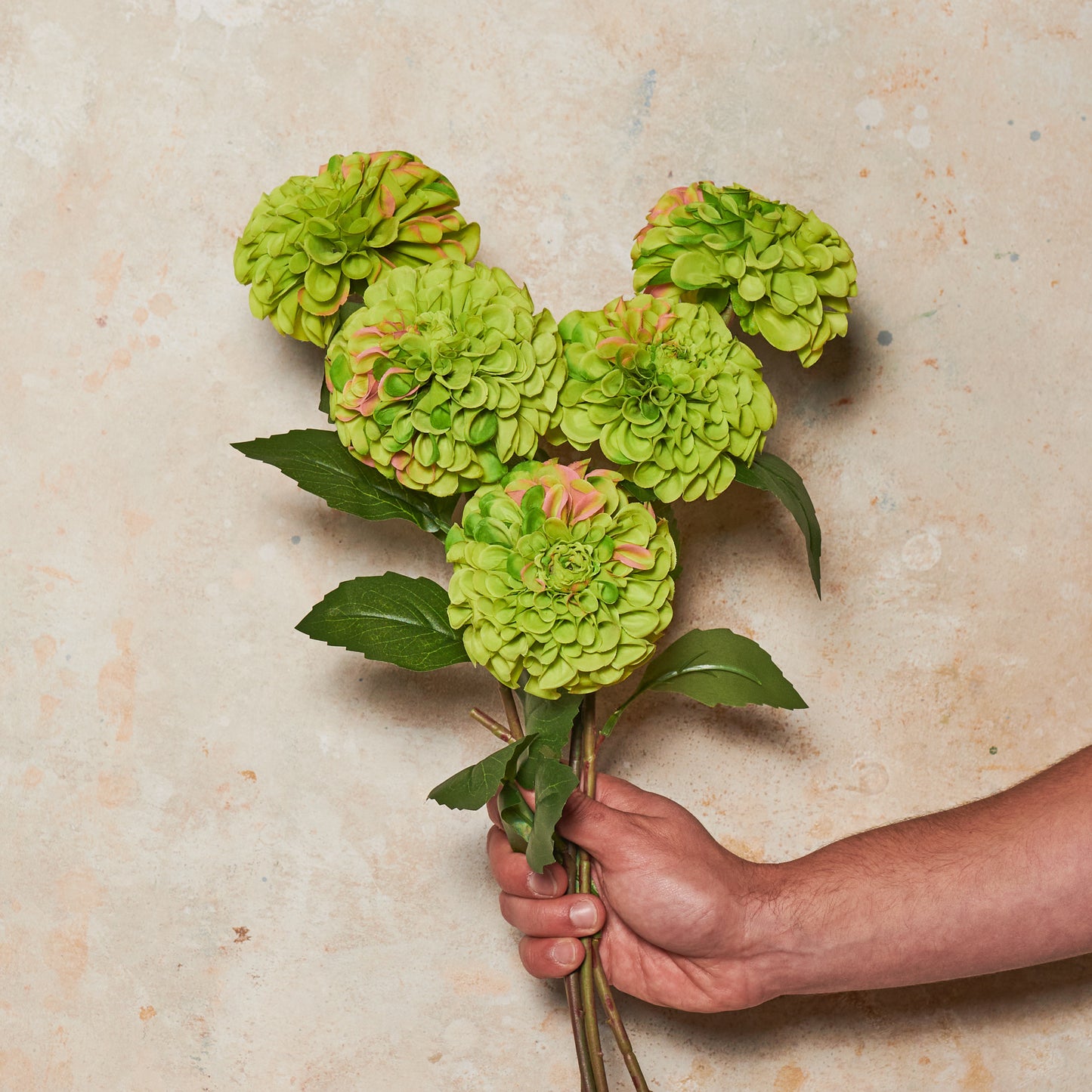 Pompon Dahlia Real Touch Flower Stem