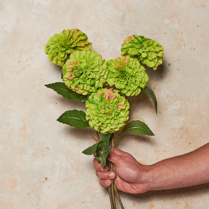 Pompon Dahlia Real Touch Flower Stem