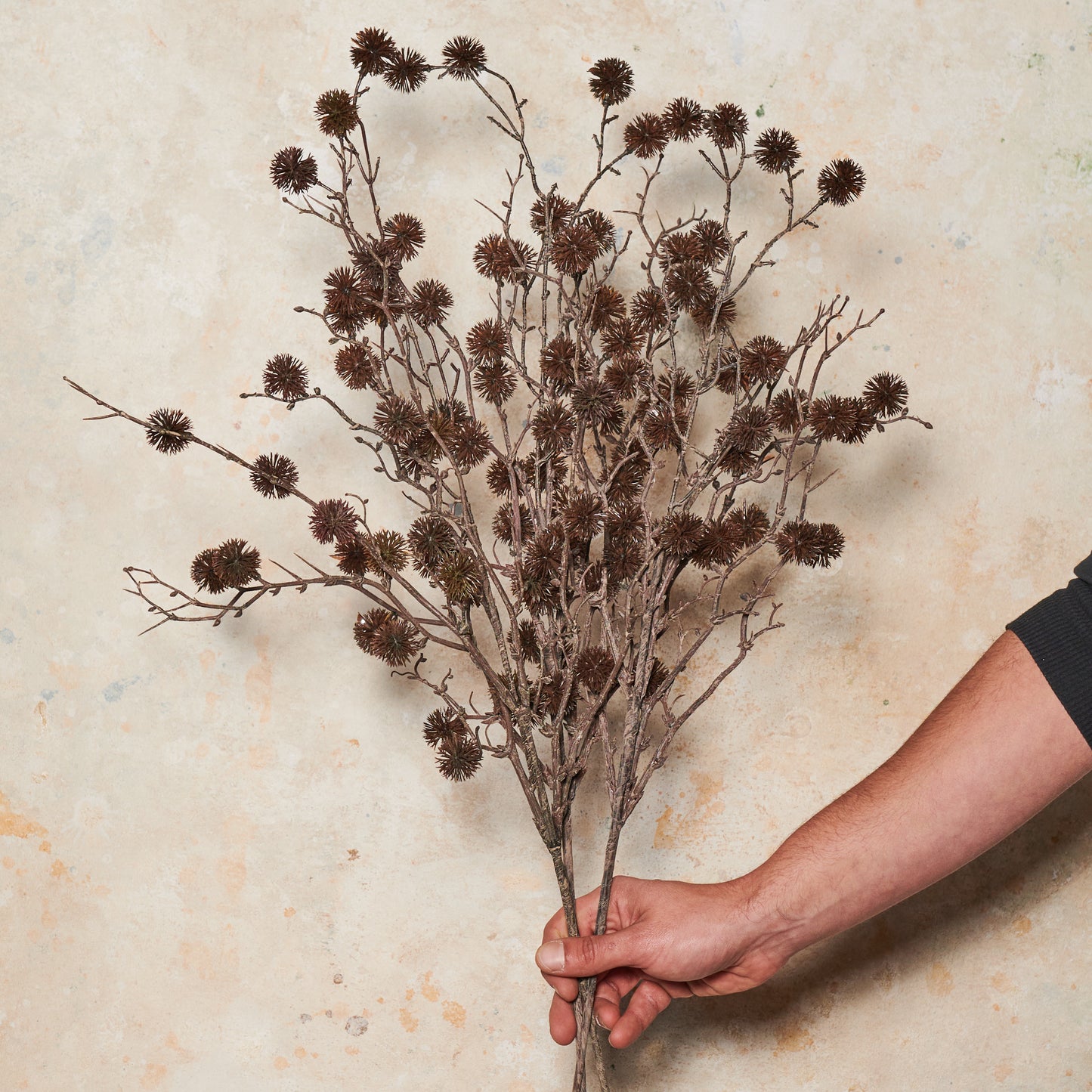 Sycamore Spray Real Touch Flower Stem