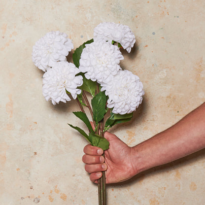 Pompon Dahlia Real Touch Flower Stem