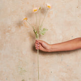 Poppy Real Touch Flower Stem