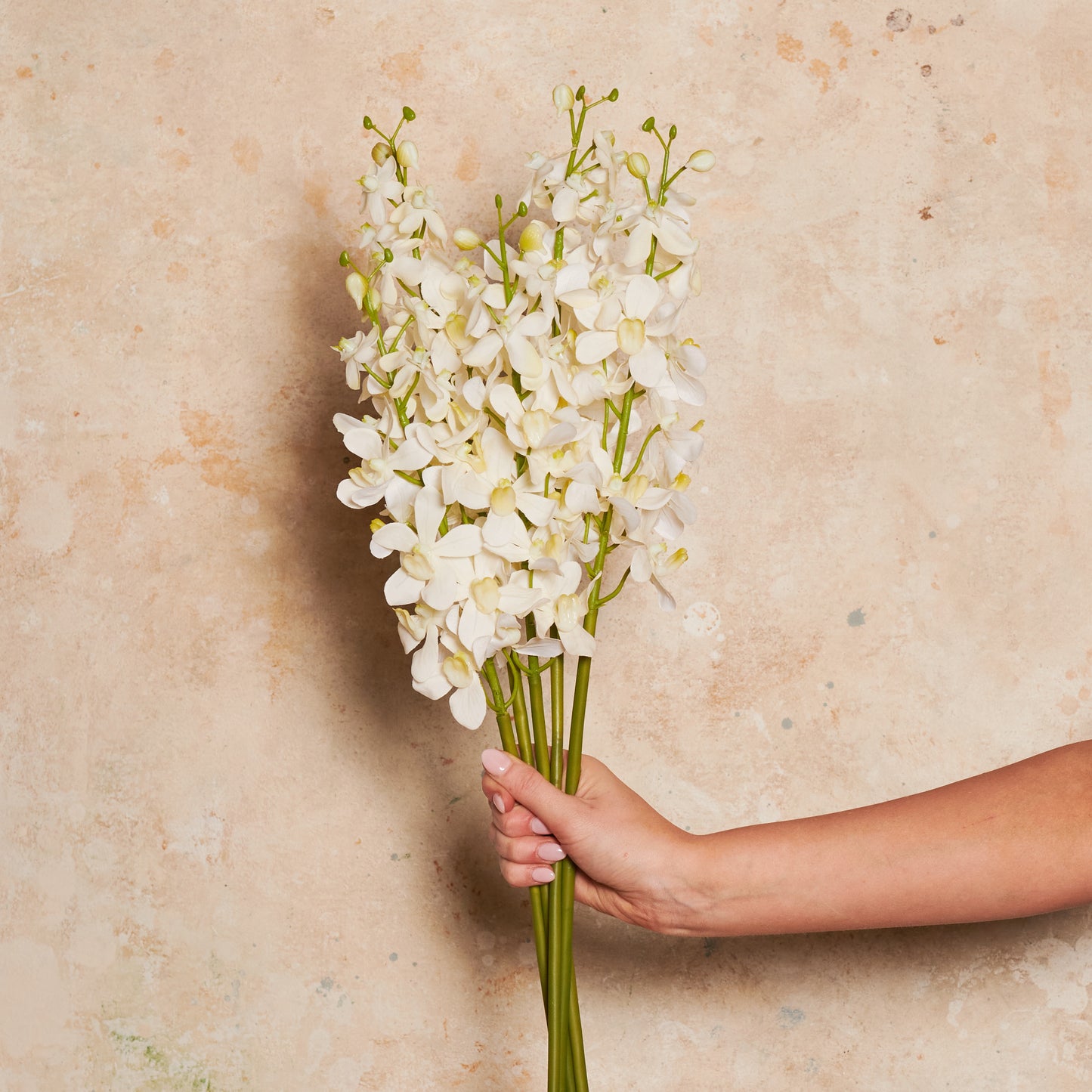 Orchid Vanda Real Touch Flower Stem