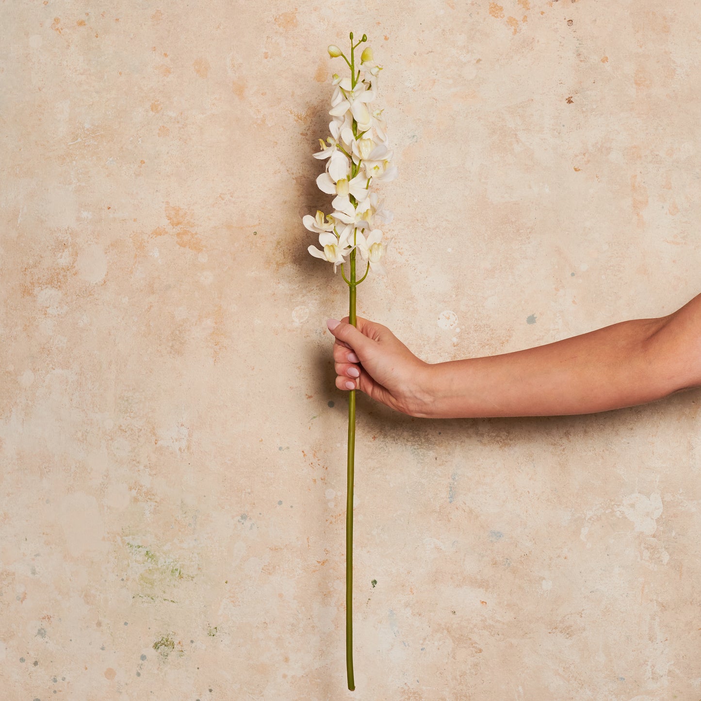 Orchid Vanda Real Touch Flower Stem
