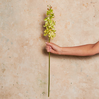 Orchid Vanda Real Touch Flower Stem