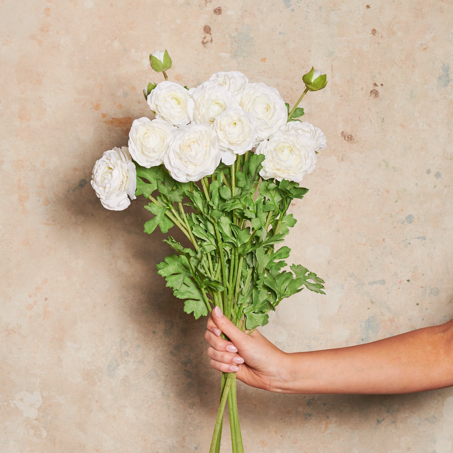 Ranunculus Flower Real Touch Flower Stem