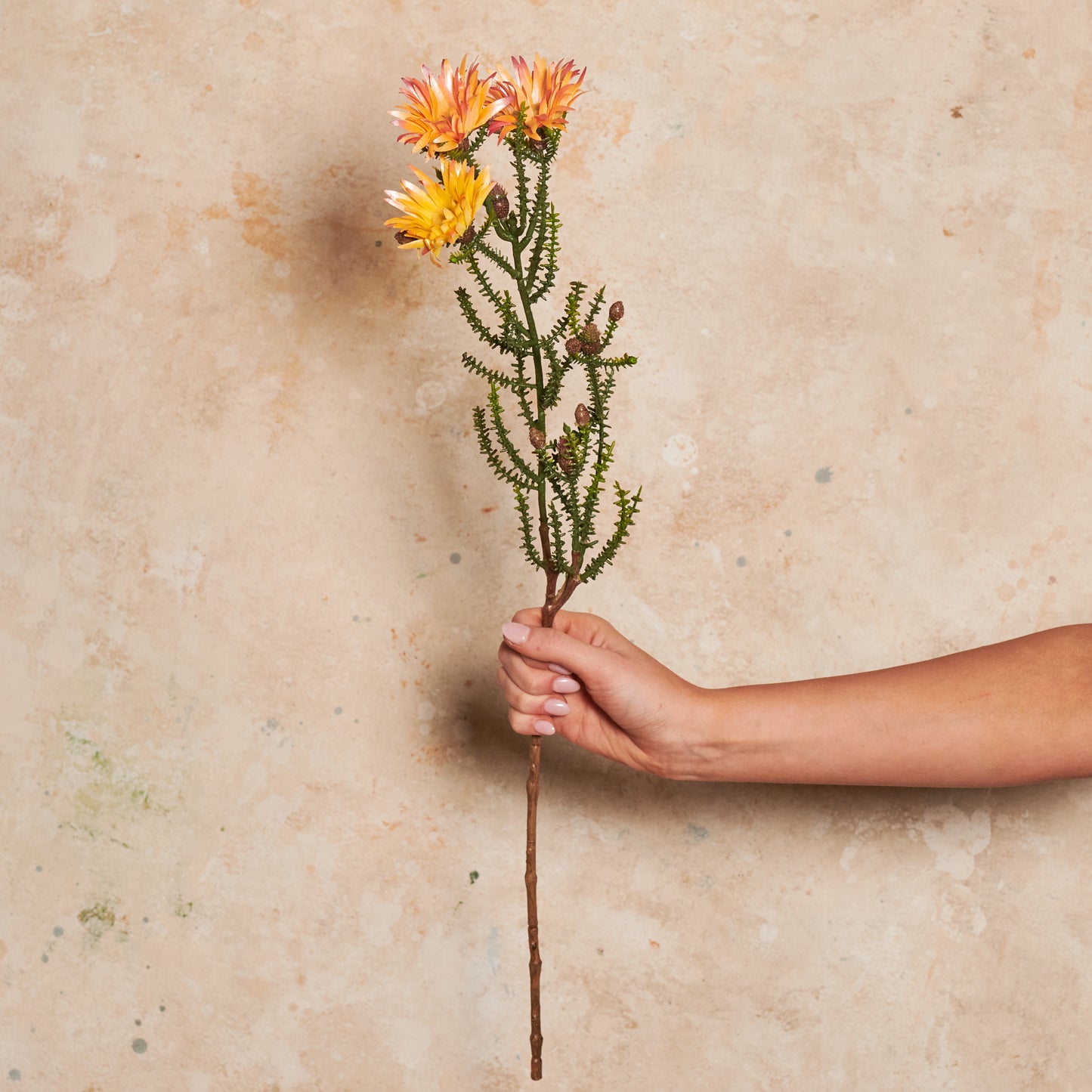 Kaaps Real Touch Flower Stem