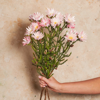 Kaaps Real Touch Flower Stem