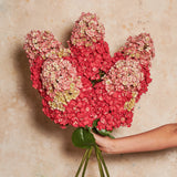 Cone Hydrangea Real Touch Flower Stem
