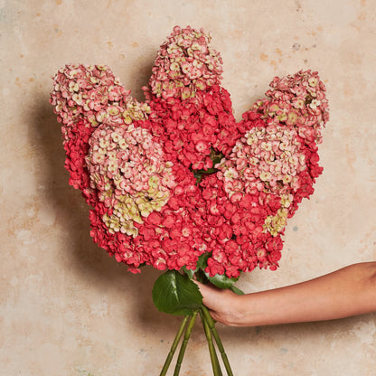 Cone Hydrangea Real Touch Flower Stem