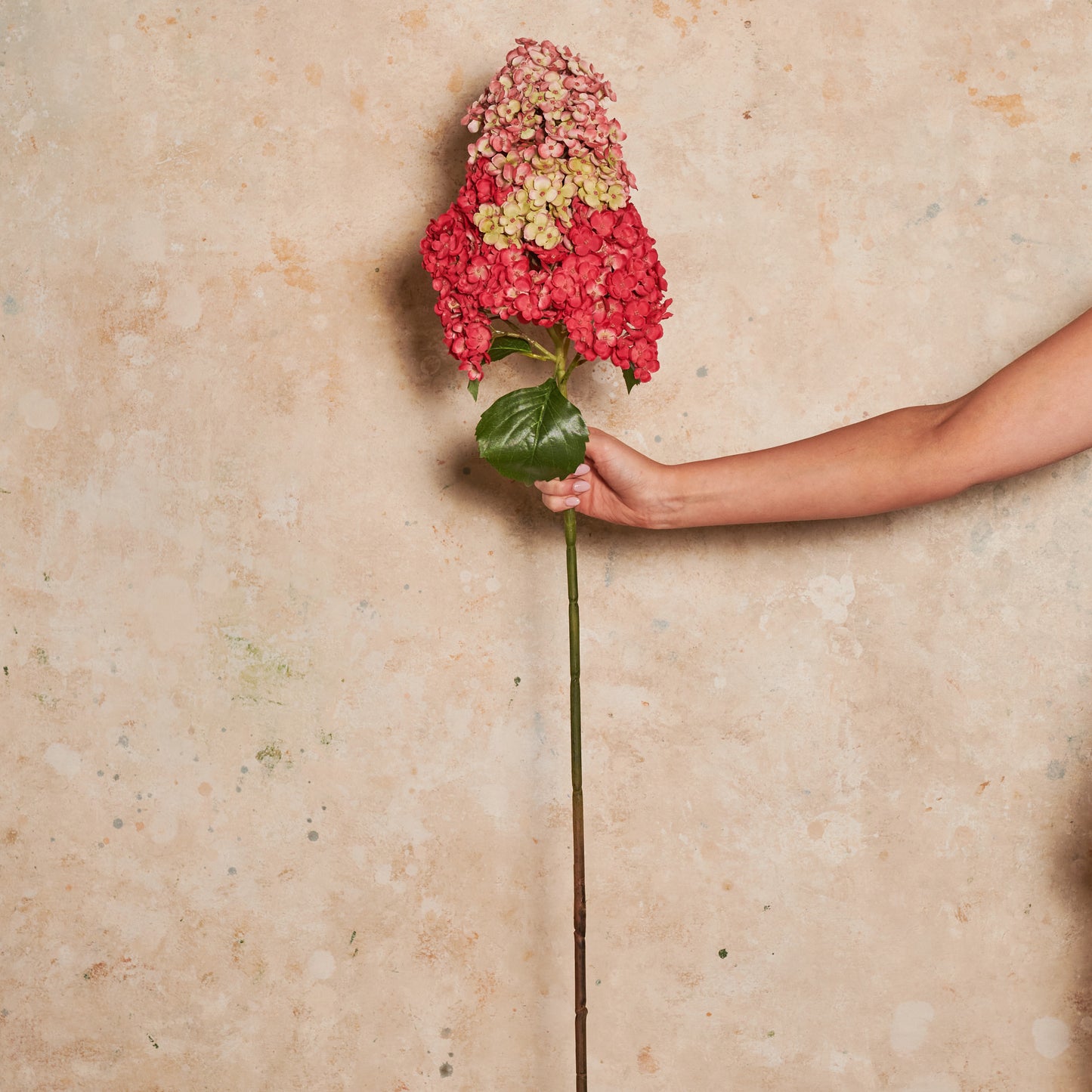 Cone Hydrangea Real Touch Flower Stem