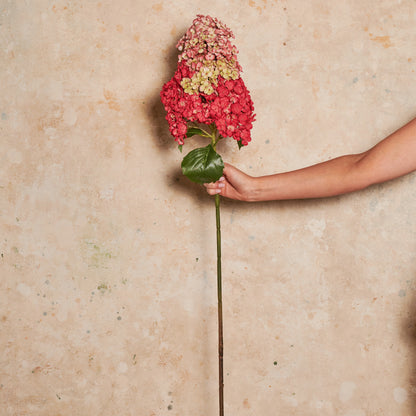 Cone Hydrangea Real Touch Flower Stem