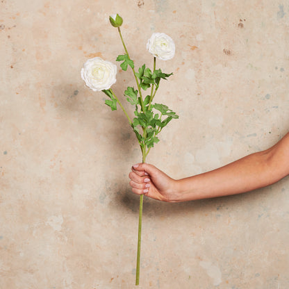 Ranunculus Flower Real Touch Flower Stem