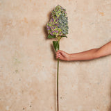 Cone Hydrangea Real Touch Flower Stem