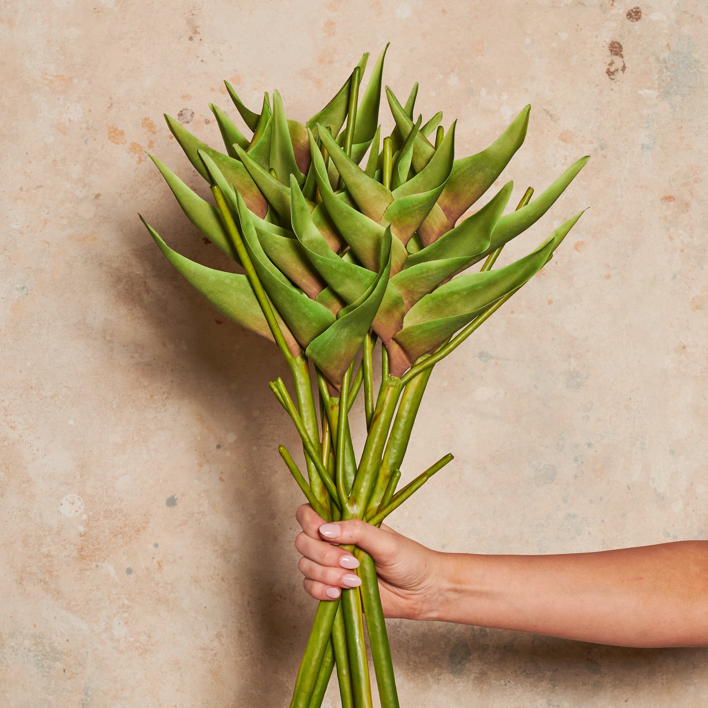 Heliconia Real Touch Flower Stem