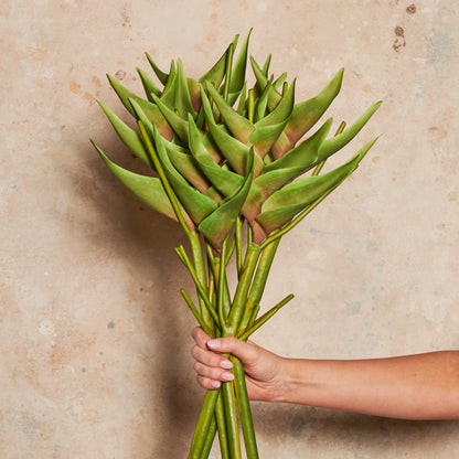 Heliconia Real Touch Flower Stem