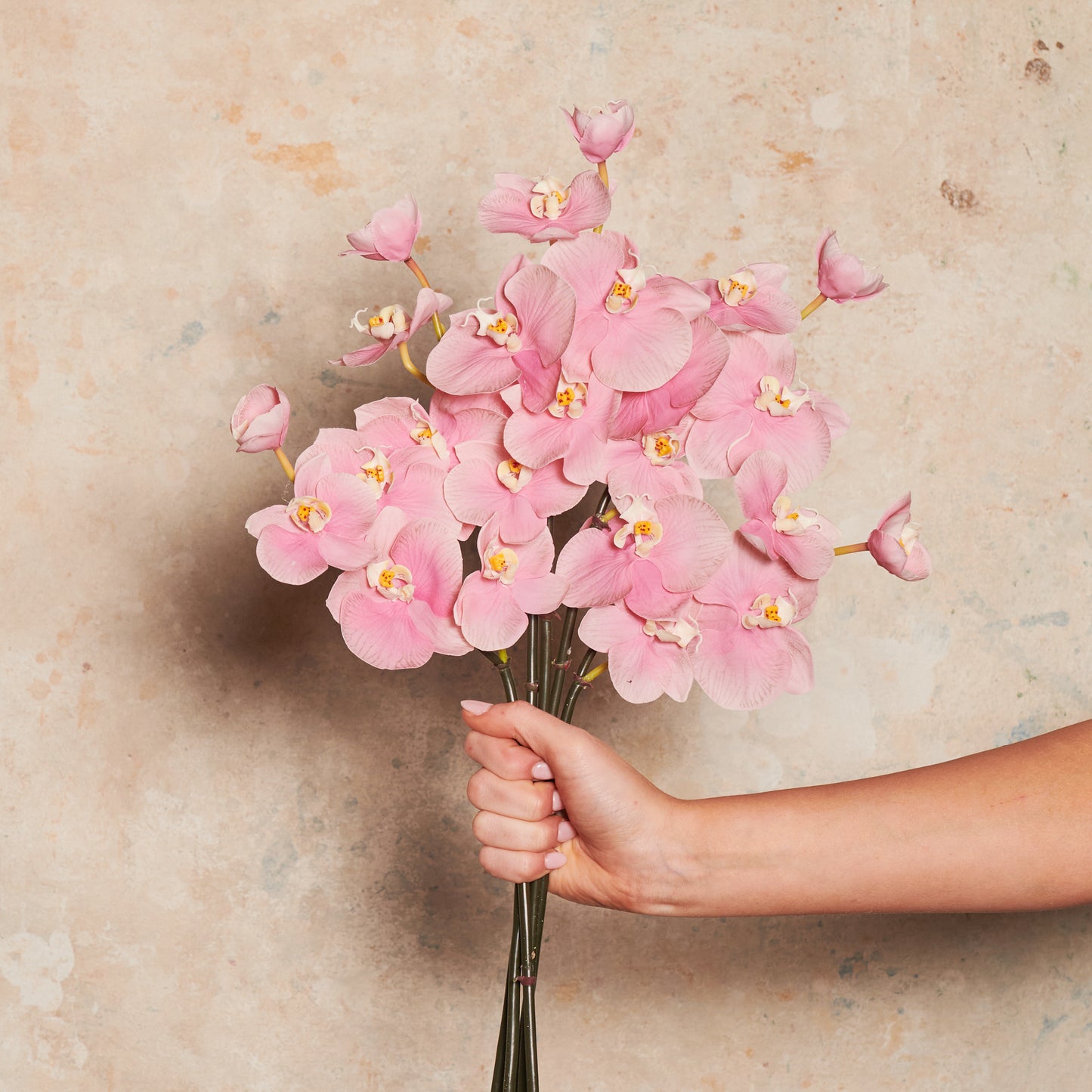 Mini Phalaenopsis Real Touch Flower Stem