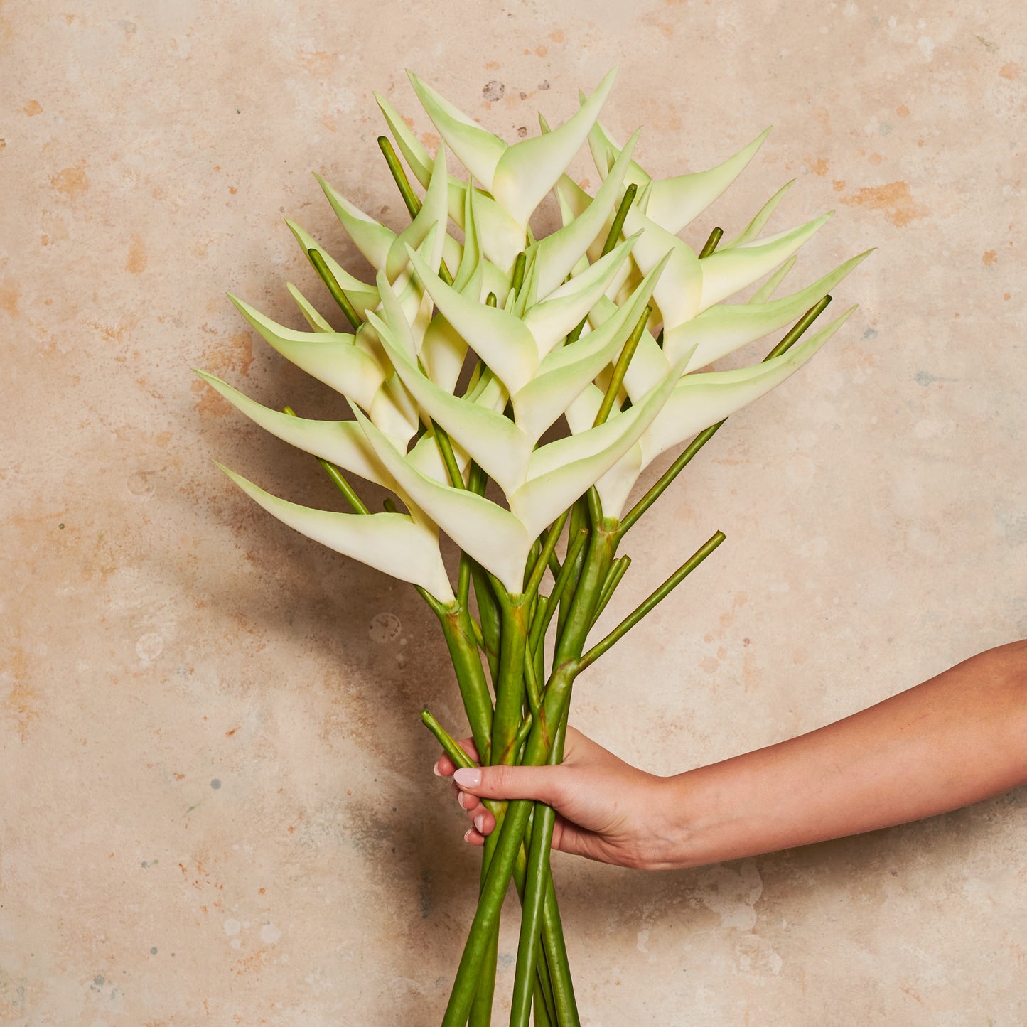 Heliconia Real Touch Flower Stem