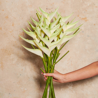 Heliconia Real Touch Flower Stem