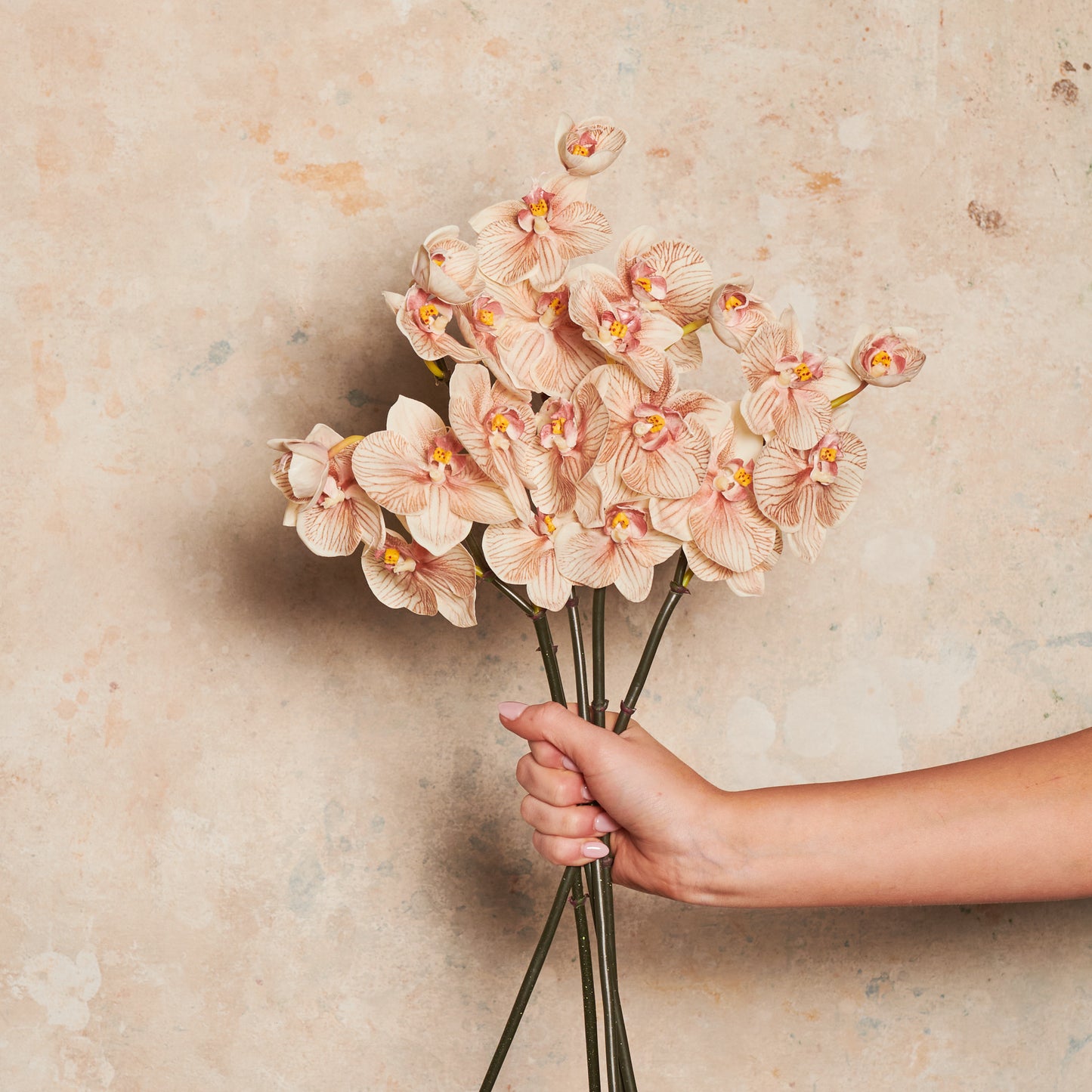 Mini Phalaenopsis Real Touch Flower Stem