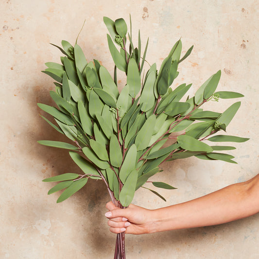 Eucalyptus Pointed Gum Real Touch Stem