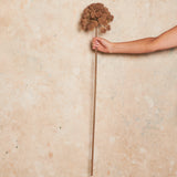 Wild Celery Real Touch Flower Stem
