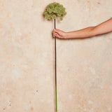 Wild Celery Real Touch Flower Stem