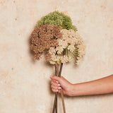 Wild Celery Real Touch Flower Stem