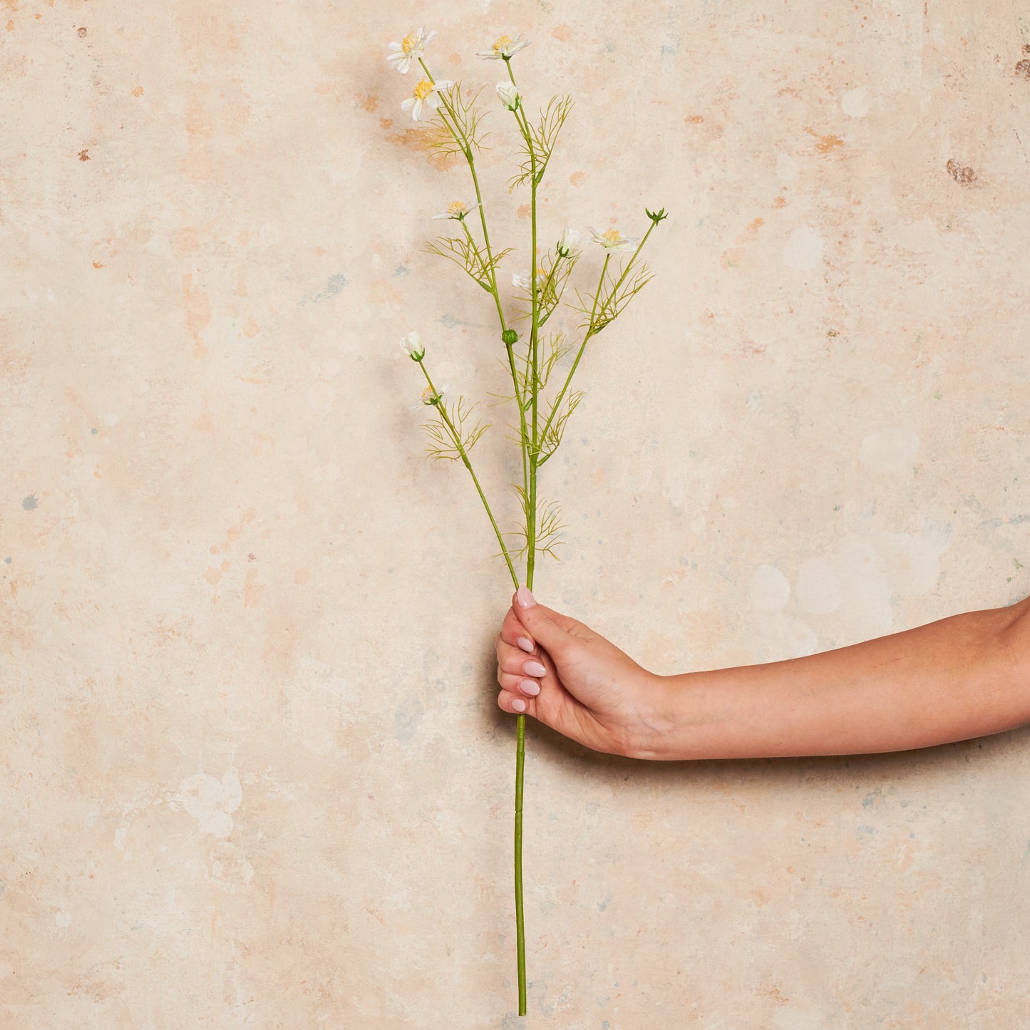 Cosmo Mini Real Touch Flower Stem
