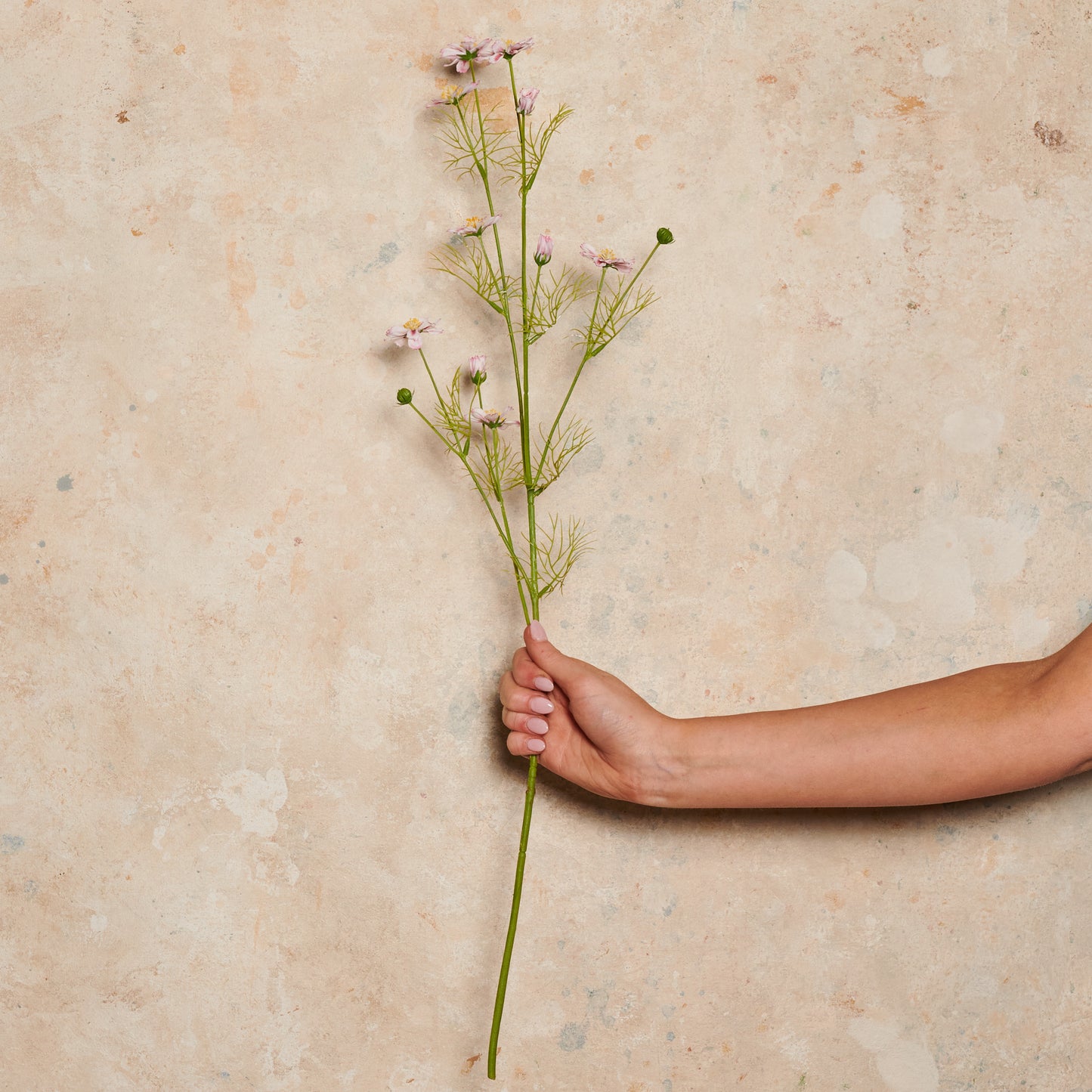 Cosmo Mini Real Touch Flower Stem