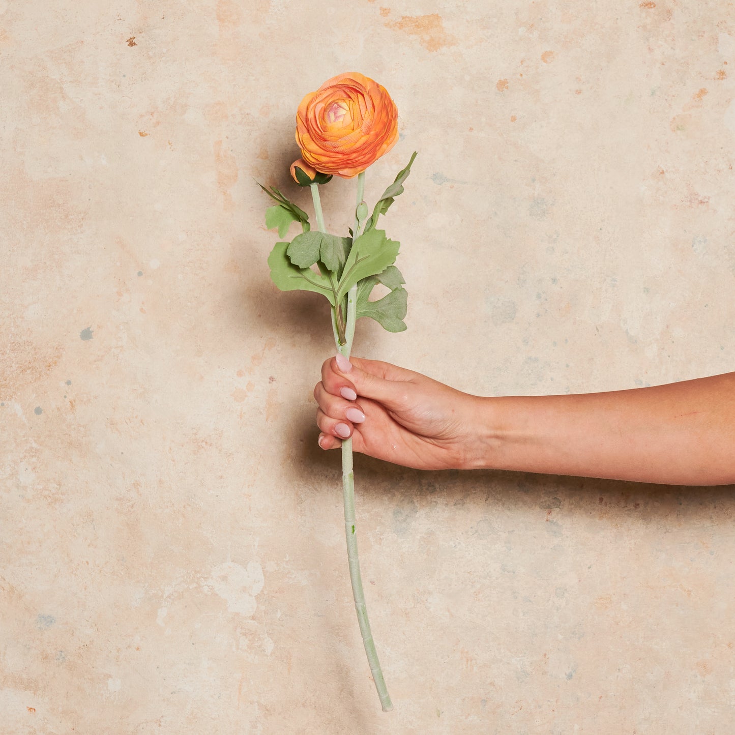 Ranunculus Real Touch Flower Stem